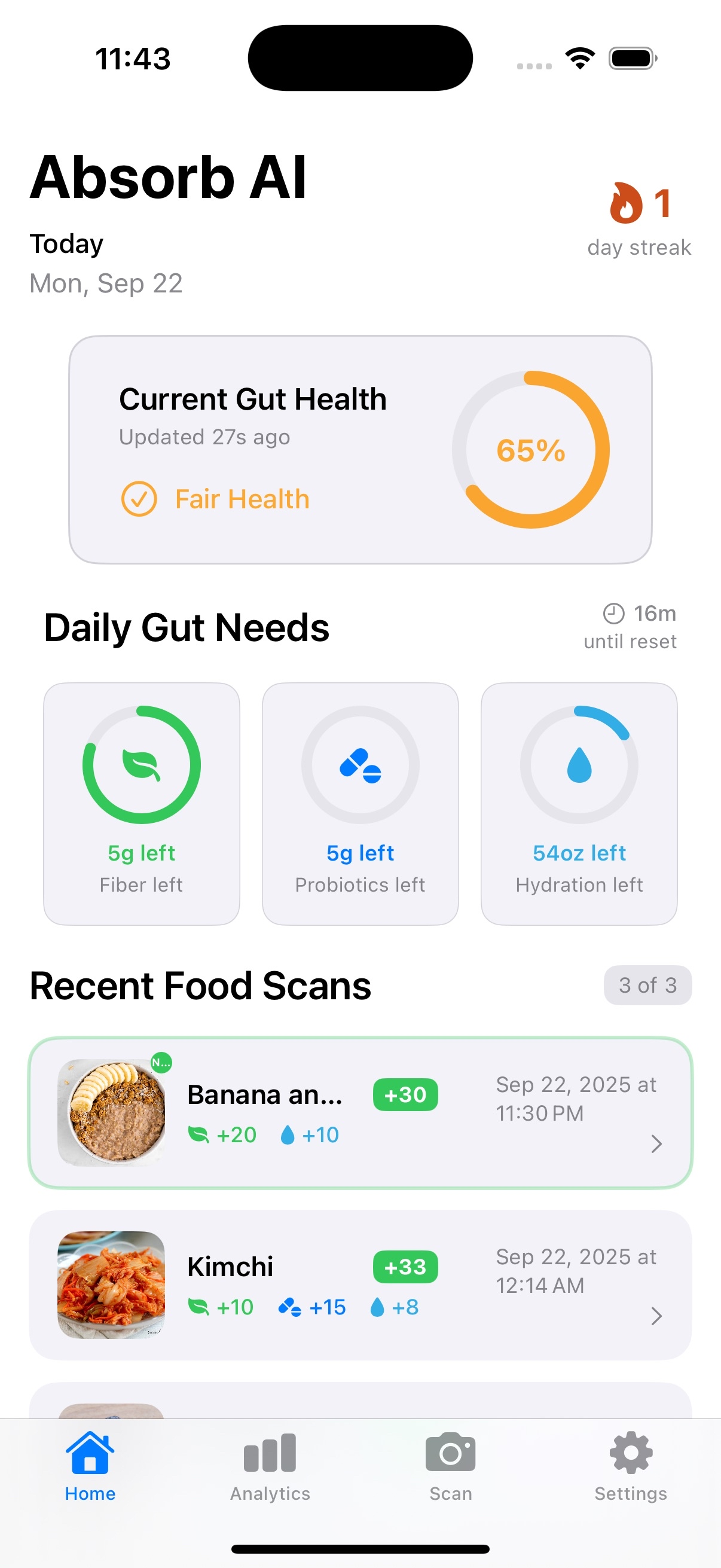 Absorb AI Home Screen